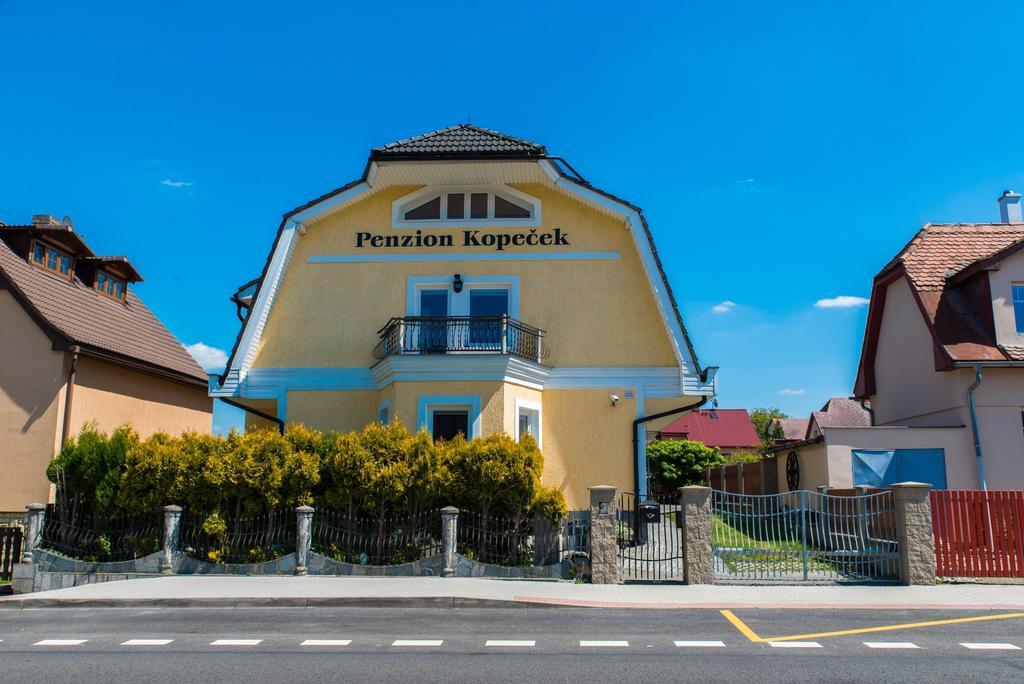 Penzion Slunce Česká Lípa Szoba fotó